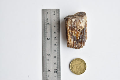 Amber Calcite Raw #1 85g