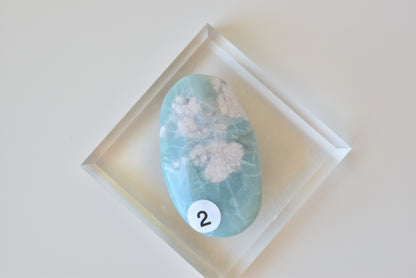 Green Flower Agate Palmstone