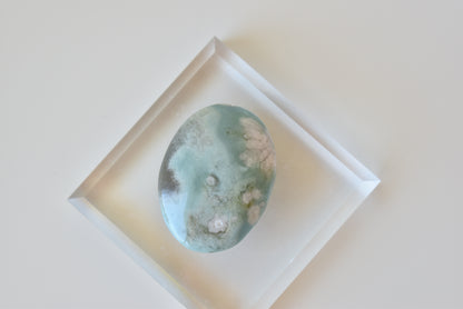 Green Flower Agate Palmstone