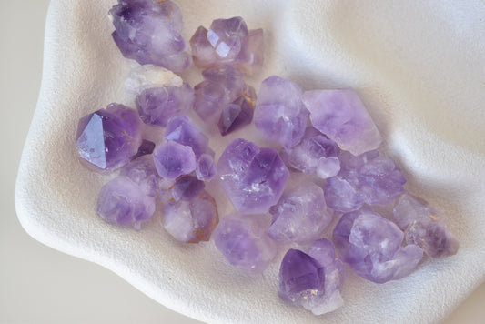 Amethyst Root Flowers