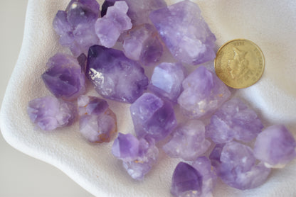 Amethyst Root Flowers