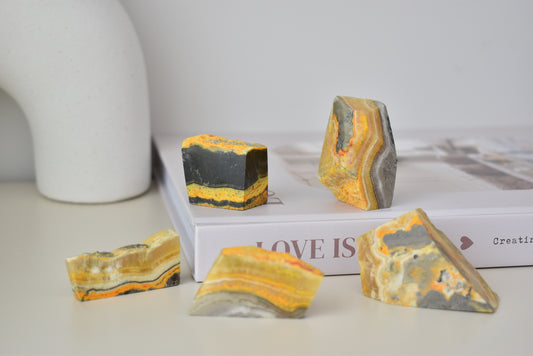 Bumblebee Jasper Freeform