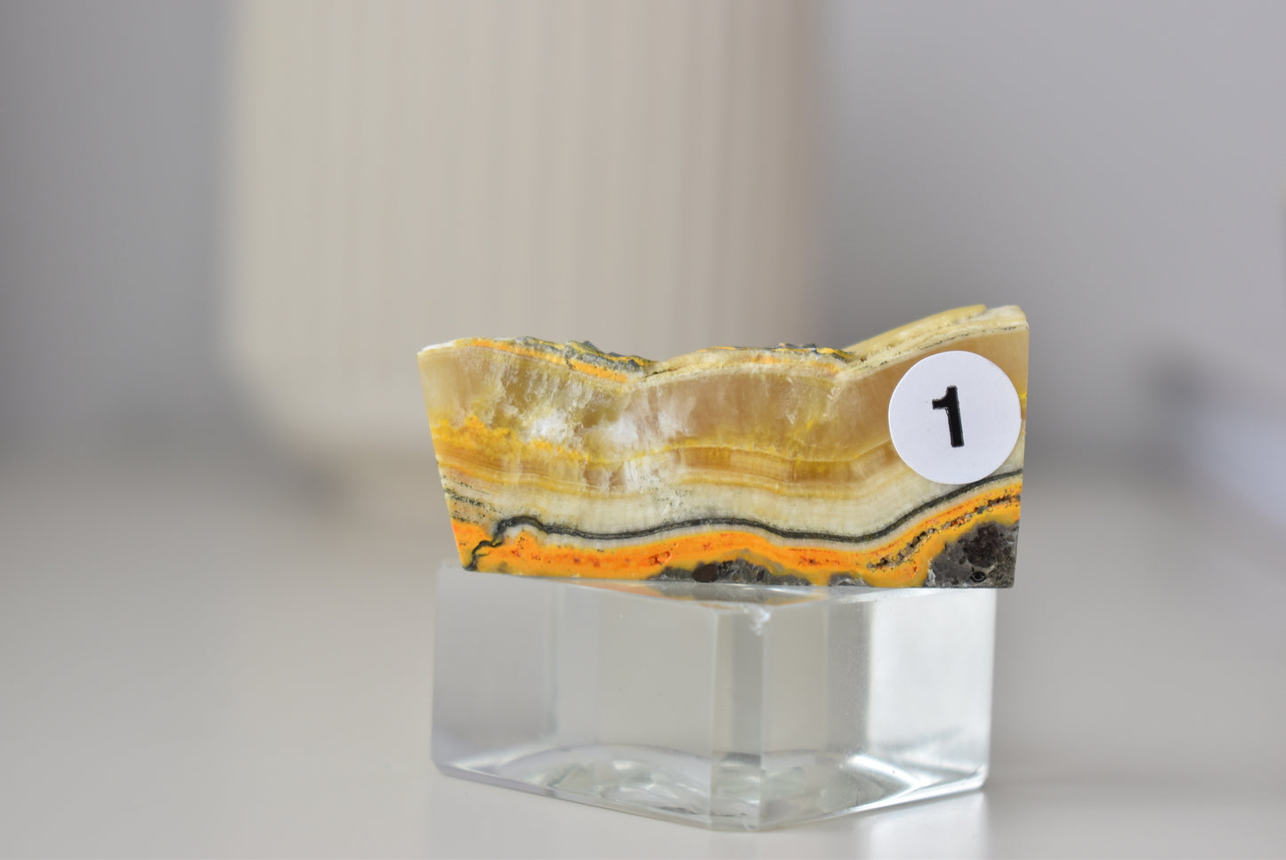 Bumblebee Jasper Freeform