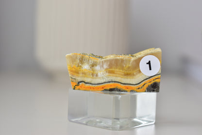 Bumblebee Jasper Freeform