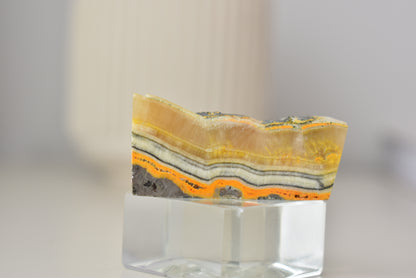 Bumblebee Jasper Freeform