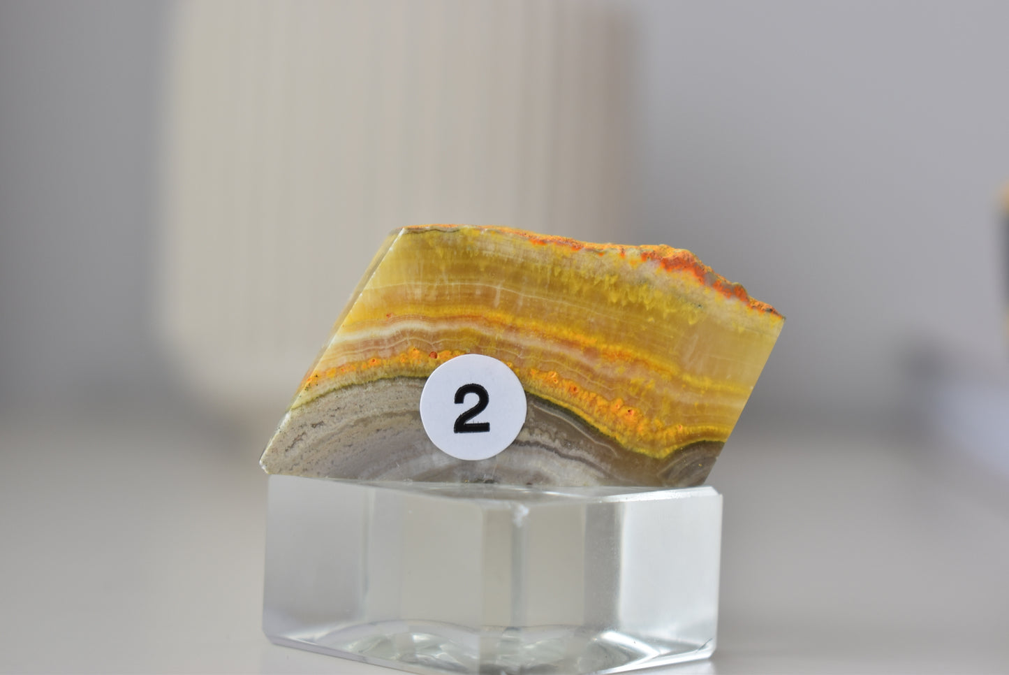 Bumblebee Jasper Freeform