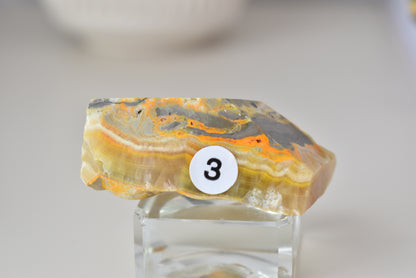 Bumblebee Jasper Freeform