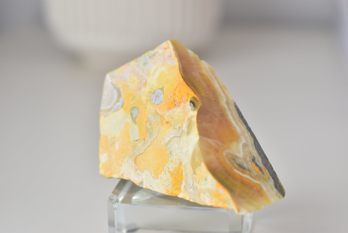 Bumblebee Jasper Freeform