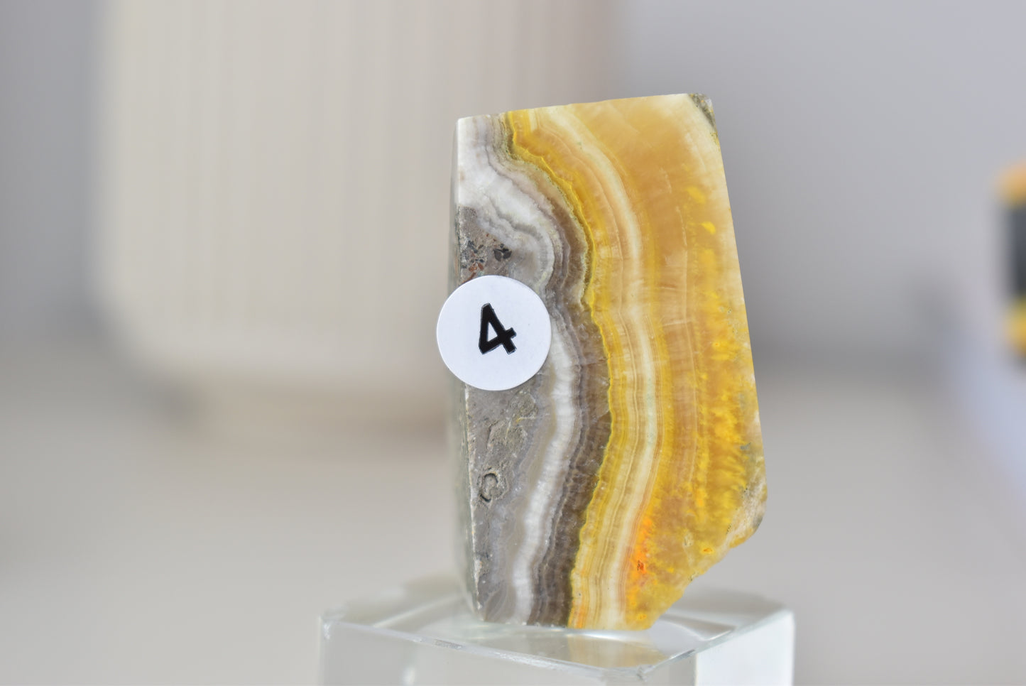 Bumblebee Jasper Freeform
