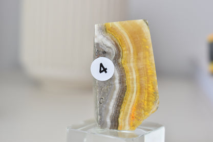 Bumblebee Jasper Freeform