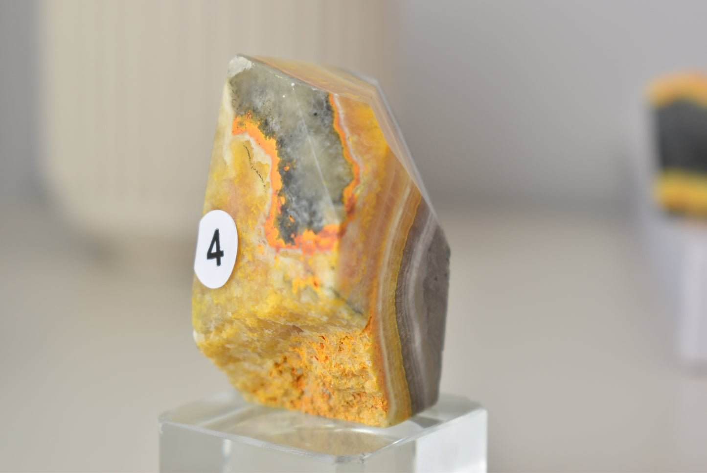 Bumblebee Jasper Freeform