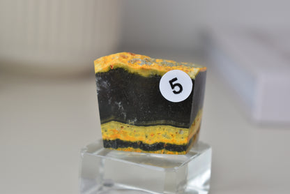 Bumblebee Jasper Freeform