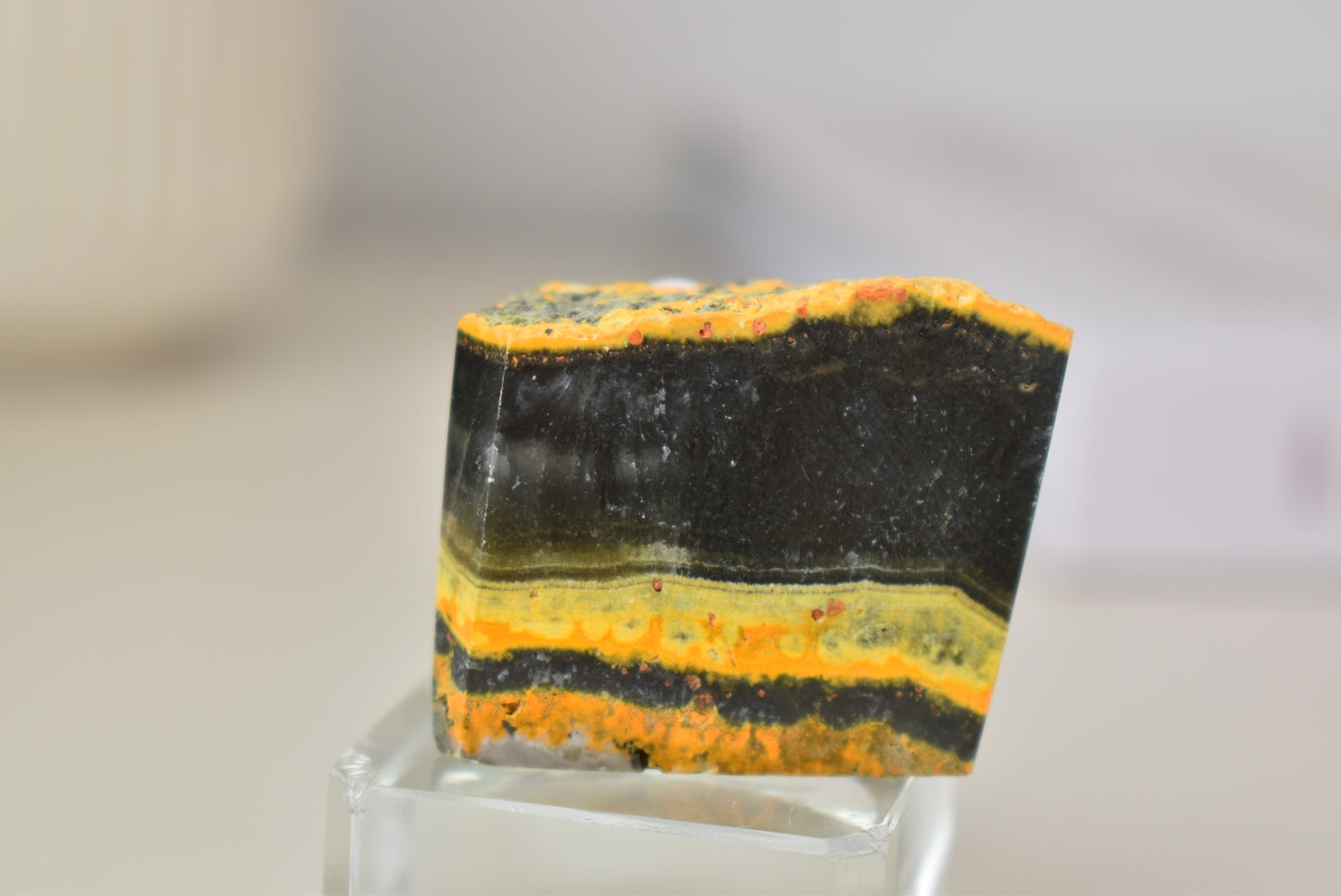 Bumblebee Jasper Freeform