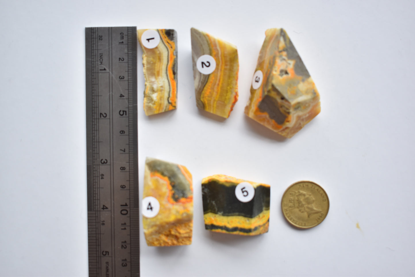 Bumblebee Jasper Freeform
