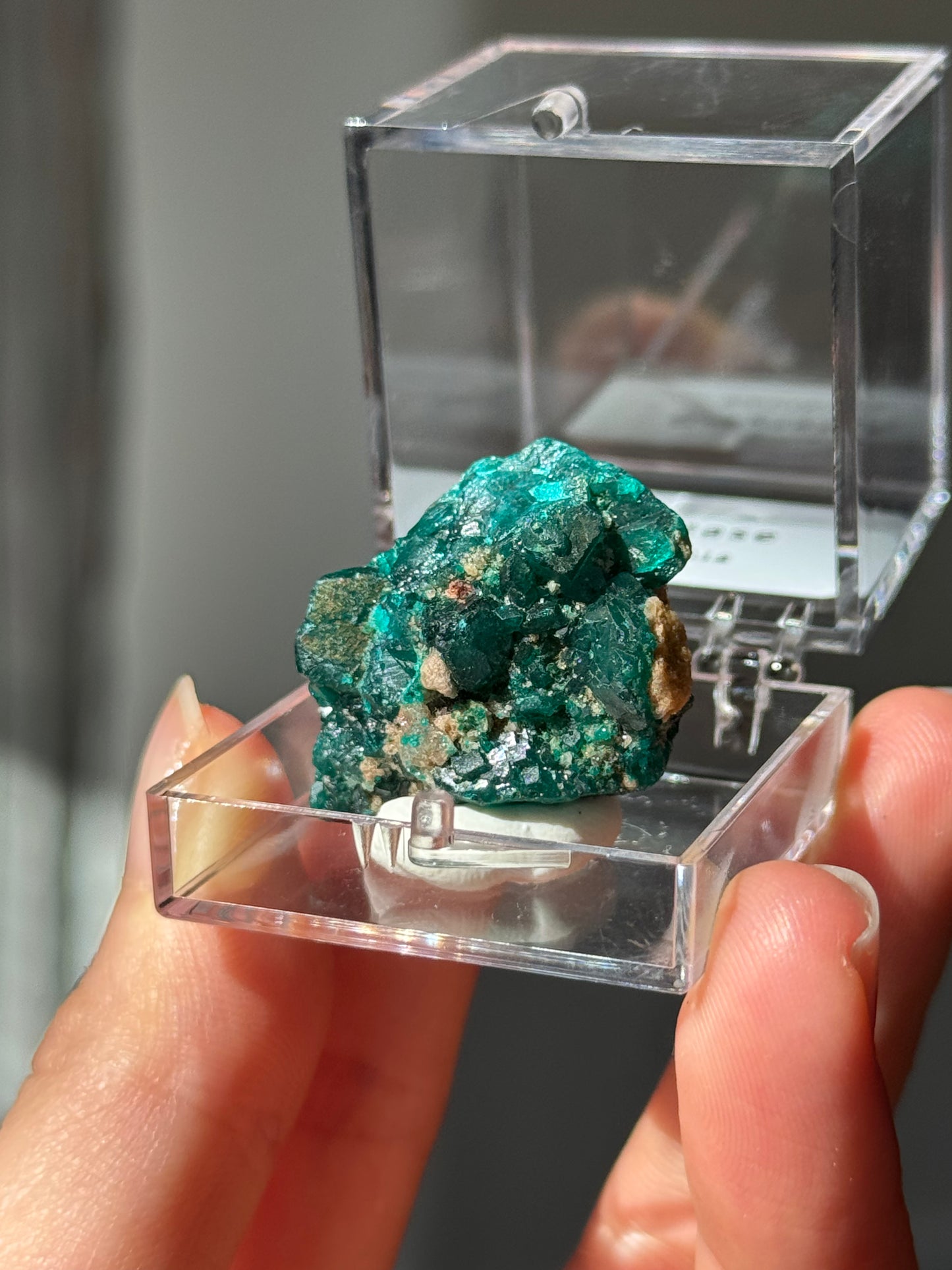 Dioptase 9.5g Specimen box