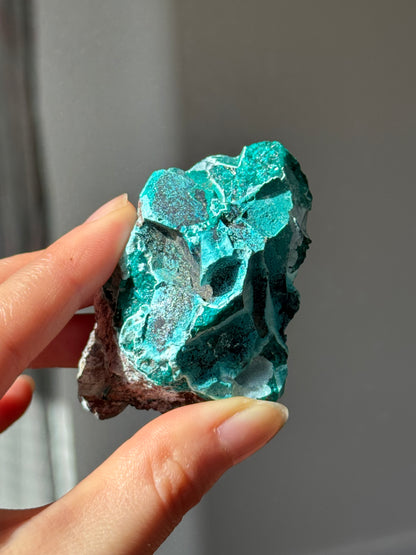 Large Dioptase Specimen 85g