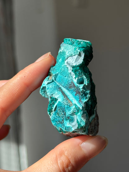 Large Dioptase Specimen 85g