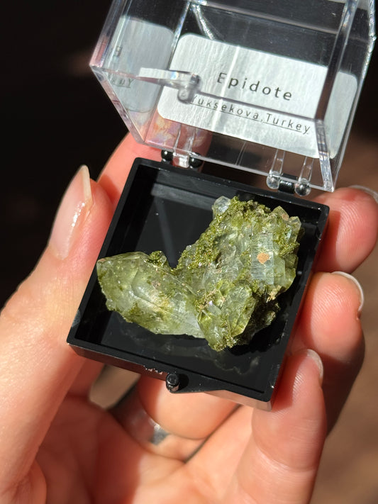 Turkey Fairy Forest Epidote Specimen box #7