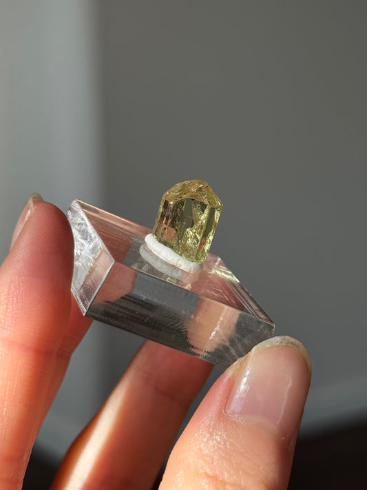 Yellow Apatite Specimen - Mexico