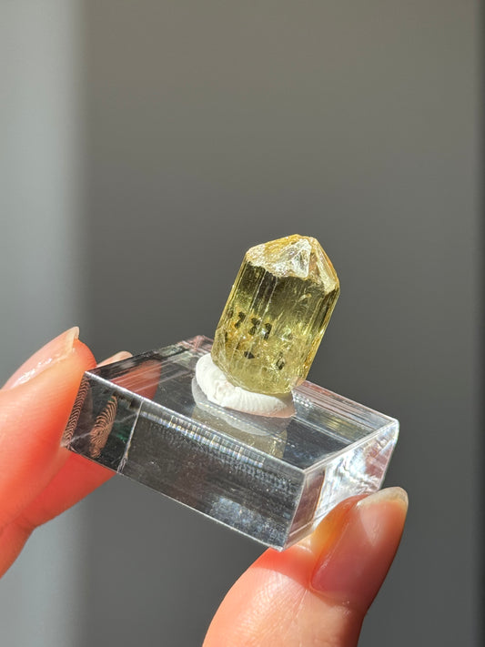 Mexico Apatite Specimen - Mexico