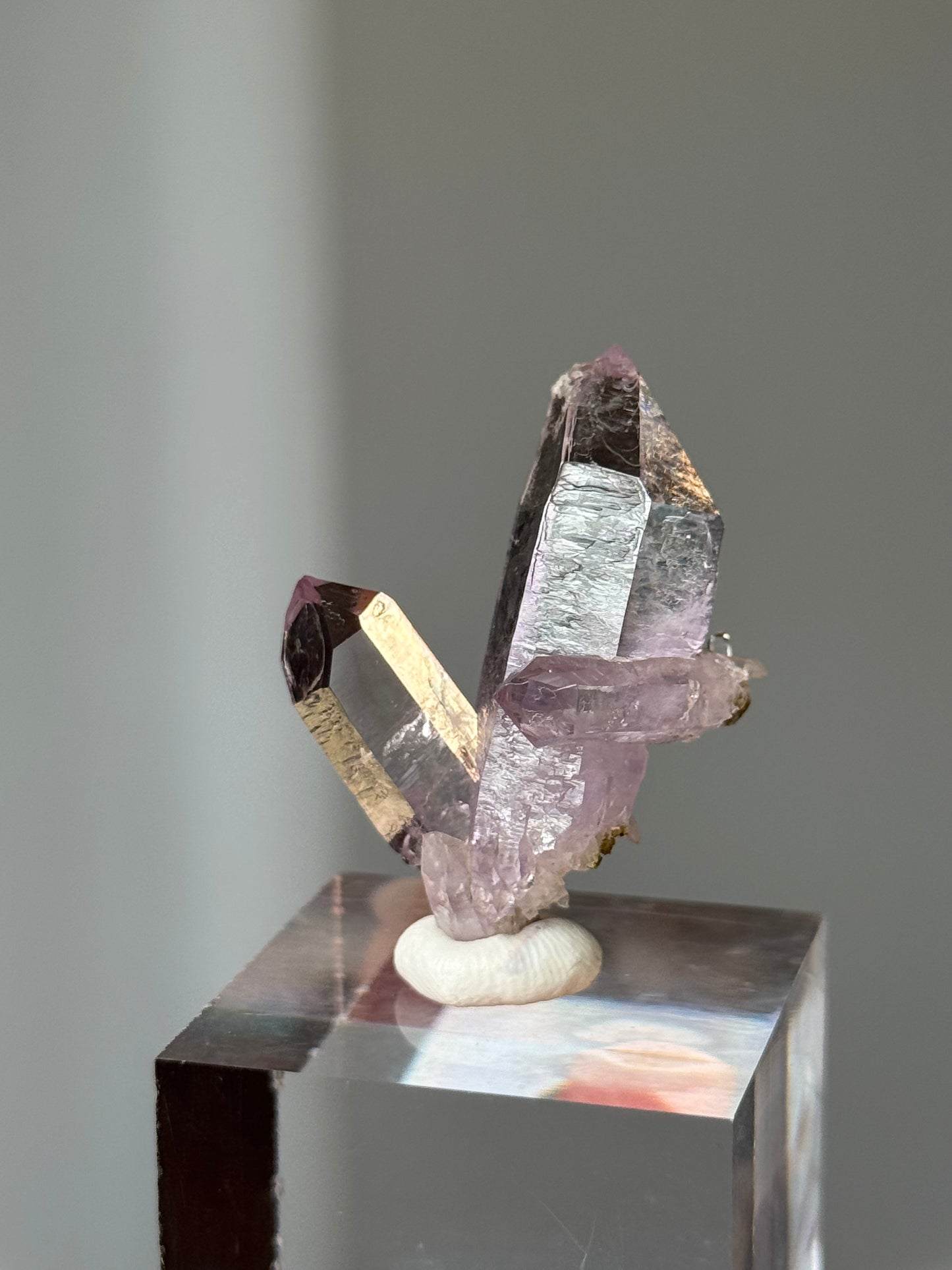 Vera Cruz Amethyst Cluster Specimen #3