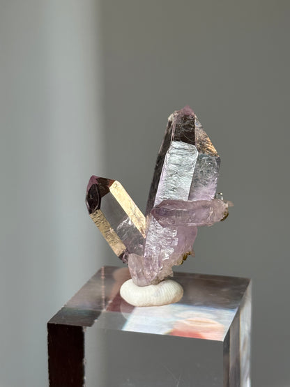 Vera Cruz Amethyst Cluster Specimen #3