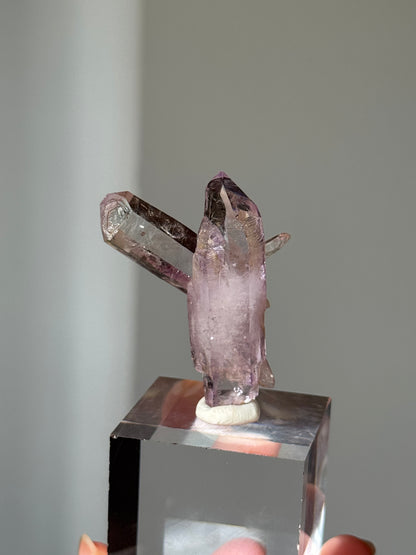 Vera Cruz Amethyst Cluster Specimen #1
