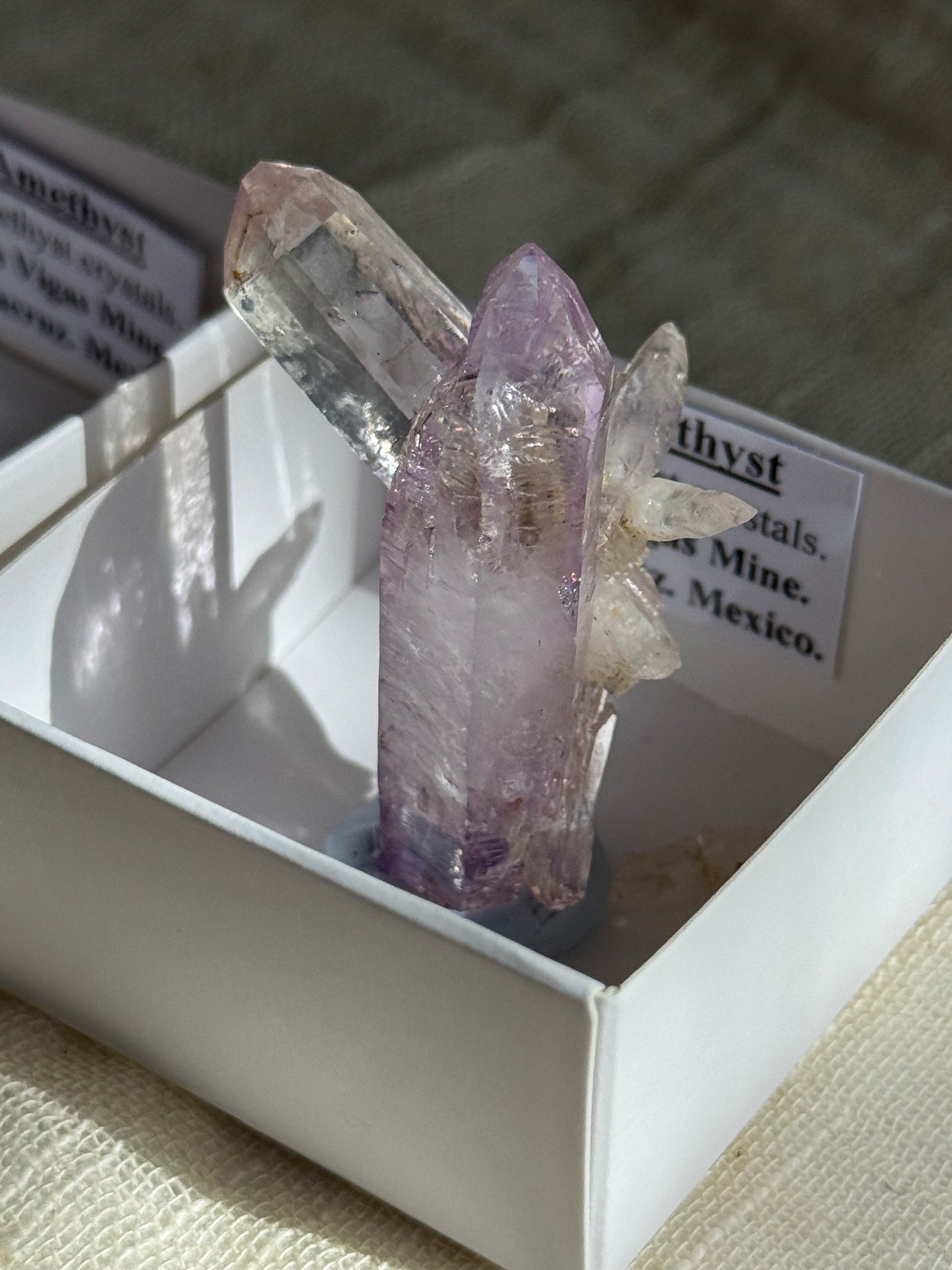 Vera Cruz Amethyst Cluster Specimen #1