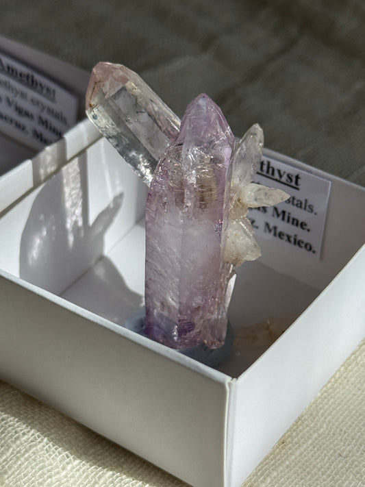 Vera Cruz Amethyst Cluster Specimen #1