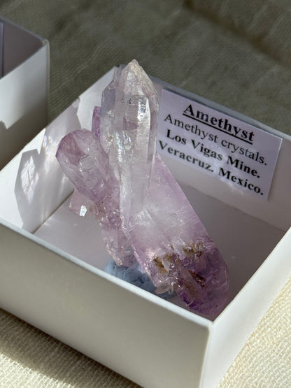 Vera Cruz Amethyst Cluster Specimen #2