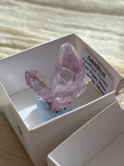 Vera Cruz Amethyst Cluster Specimen #3