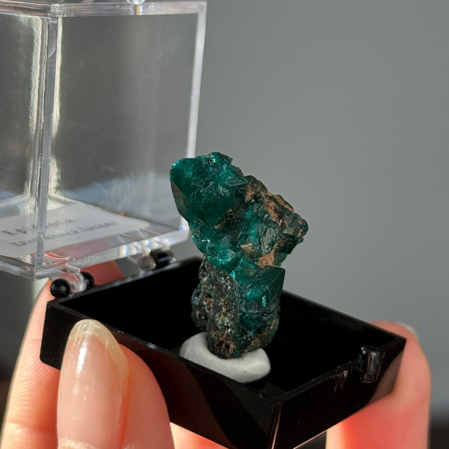 Dioptase 7.5g Specimen box