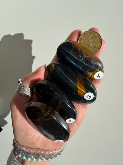 Blue Yellow Tigers Eye Palm Stone | Confidence