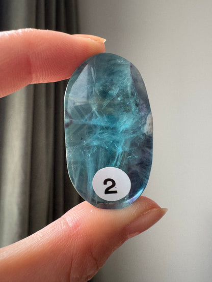 Blue Fluorite Palm Stone ｜Clarity