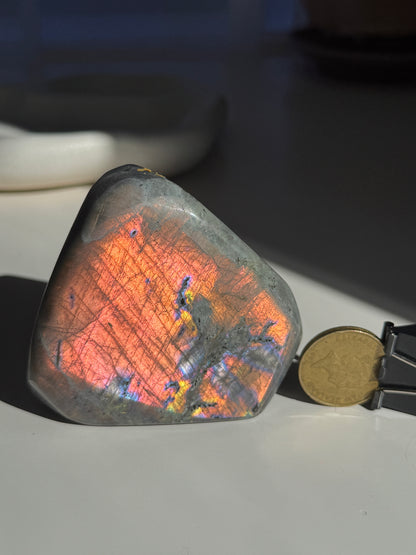 Labradorite Freeform 363g