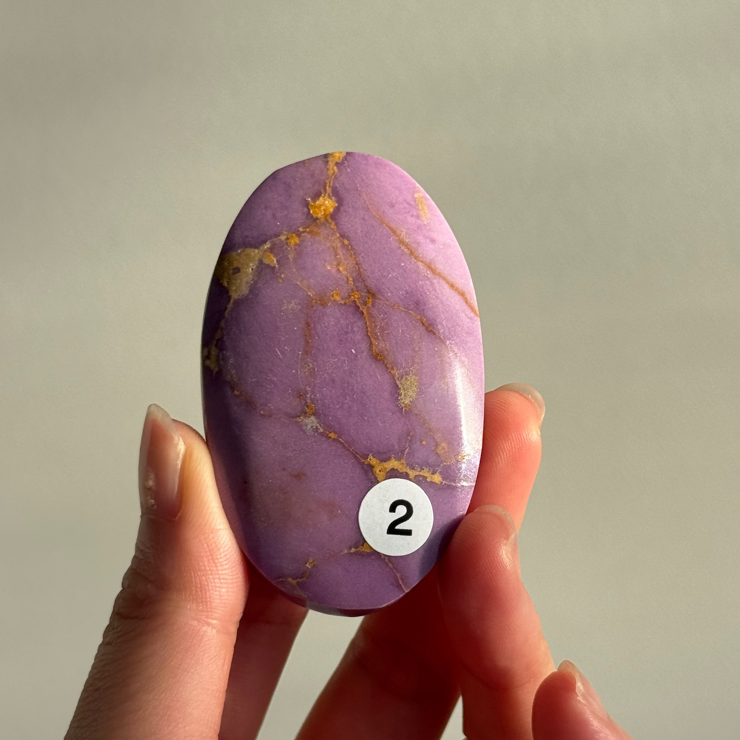 Phosphosiderite Palm Stone #2