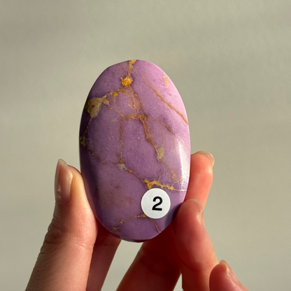 Phosphosiderite Palm Stone #2