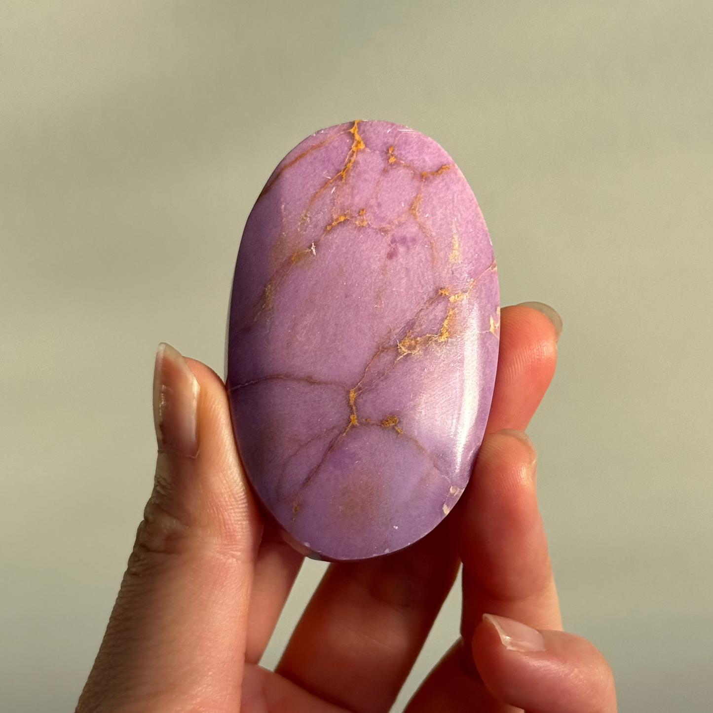 Phosphosiderite Palm Stone #2