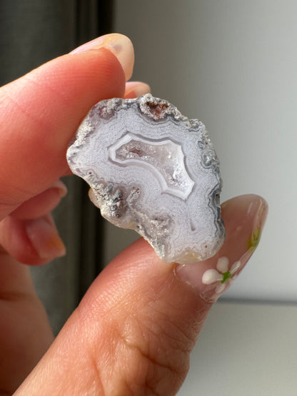 Laguna Agates from Mexico #1