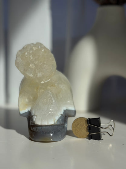 Large Agate Skull Carving with Dendritic 1kg