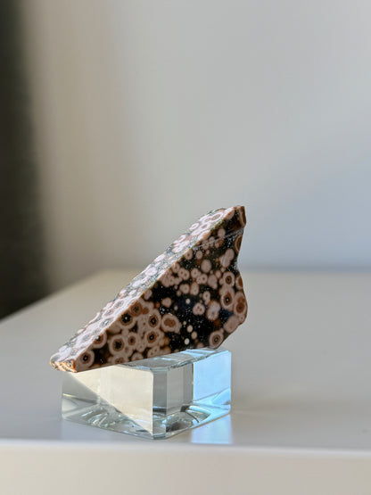 Old Stock Orbicular Ocean Jasper Raw 2, 23g