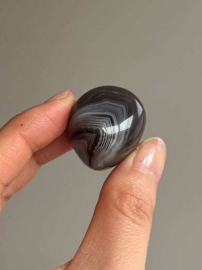 Botswana Agate #11