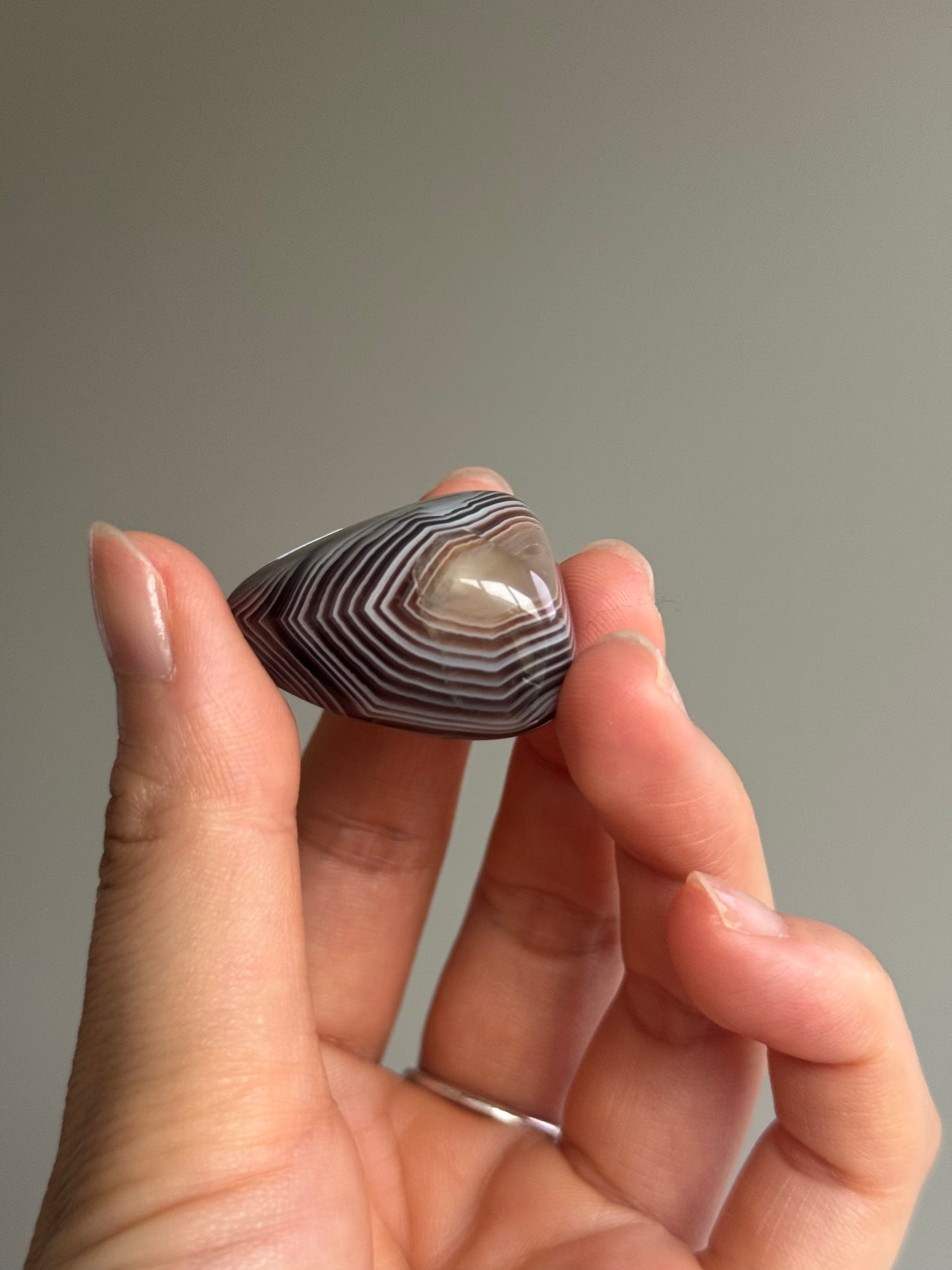 Botswana Agate #10