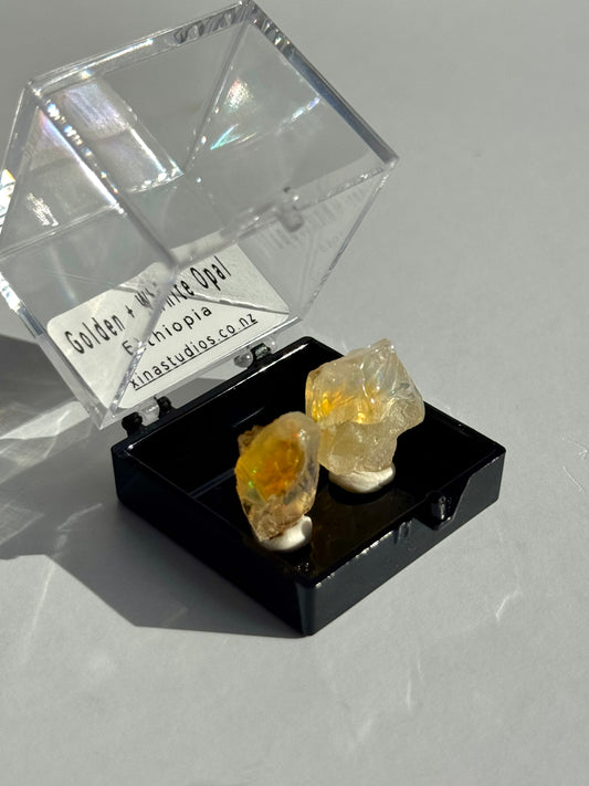 Golden + White Opal Specimen #1