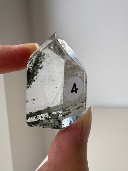Garden Quartz Lodolite Freeform
