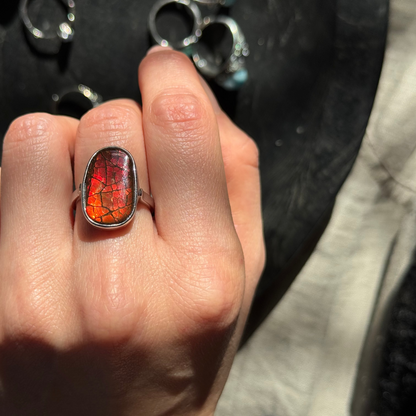 Ammonite Sterling Sliver Ring Adjustable