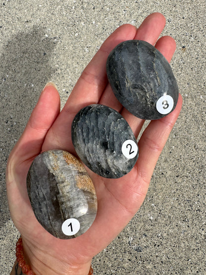 Lodolite Palm stone