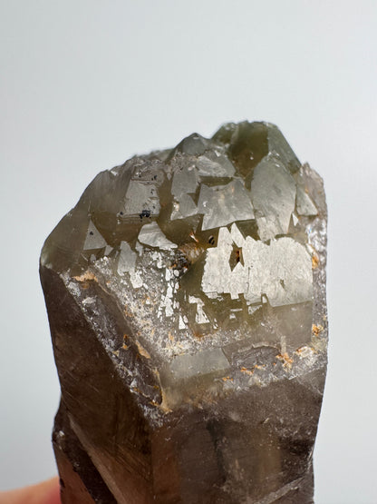 Self healed Smoky  Lodolite Quartz