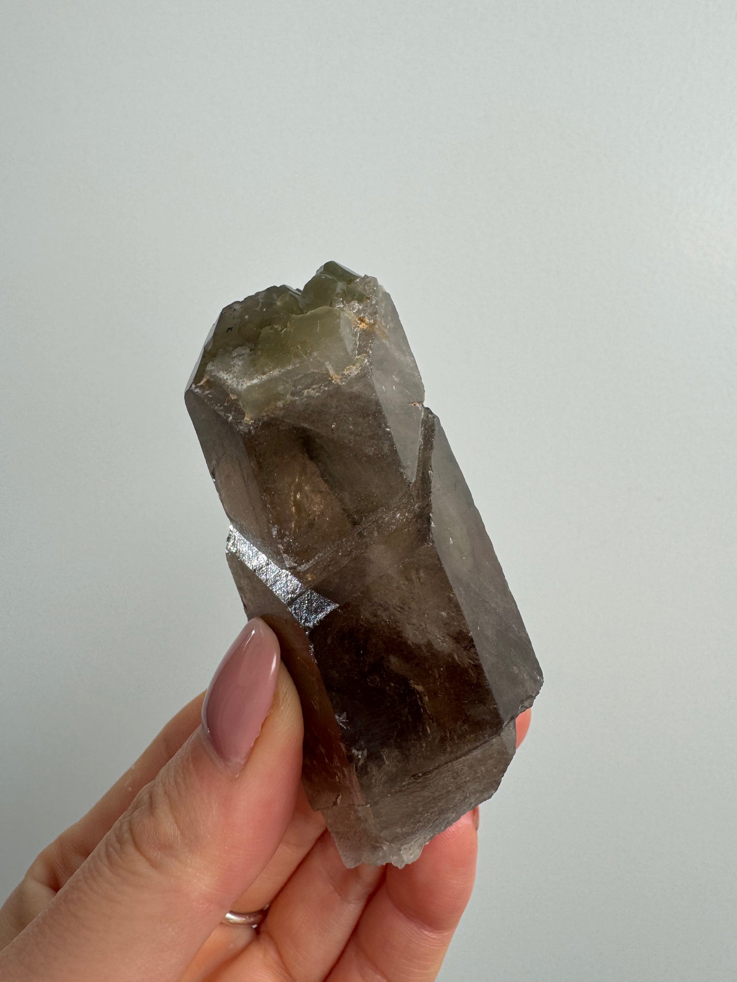 Self healed Smoky  Lodolite Quartz