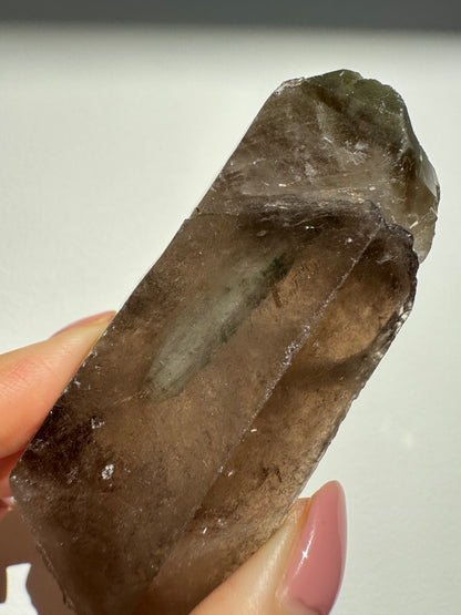 Self healed Smoky  Lodolite Quartz
